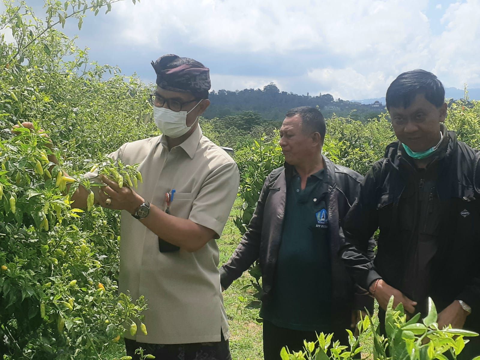 podiumnews.com-Jelang Idul Fitri, Badung Pastikan Produksi Pangan Aman